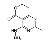 5-Pyrimidinecarboxylicacid,4-hydrazino-2-methyl-,ethylester(6CI,9CI) Structure