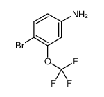 4-BROMO-3-TRIFLUOROMETHOXY-PHENYLAMINE picture