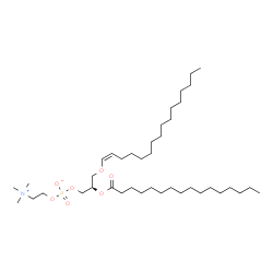 1-1(Z)-Hexadecenyl-2-Palmitoyl-sn-glycero-3-PC structure