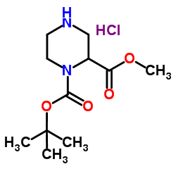 1-叔丁基2-甲基哌嗪-1,2-二羧酸盐酸盐图片