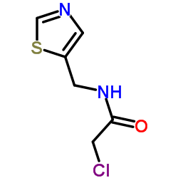 2-Chloro-N-(1,3-thiazol-5-ylmethyl)acetamide结构式