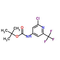 2-Methyl-2-propanyl [2-chloro-6-(trifluoromethyl)-4-pyridinyl]carbamate Structure