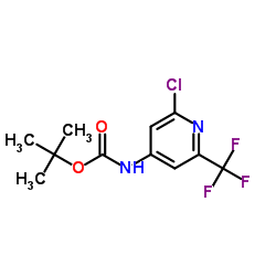 2-Methyl-2-propanyl [2-chloro-6-(trifluoromethyl)-4-pyridinyl]carbamate图片