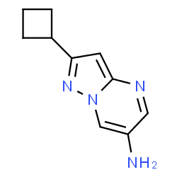 2-Cyclobutylpyrazolo[1,5-a]pyrimidin-6-amine Structure