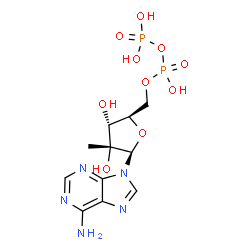2'C-methyladenosine 5'-diphosphate Structure