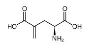 4-methylene-L-glutamic acid结构式