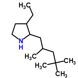 Pyrrolidine, 3-ethyl-2-(2,4,4-trimethylpentyl)- (9CI)结构式