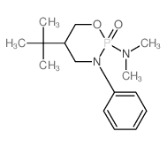 cis-2-Oxo-2-dimethylamino-3-phenyl-5-tert-butyl-1,3, 2-oxazaphosphorinane结构式