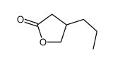 4-propyloxolan-2-one structure