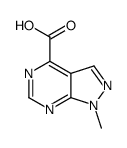 1-methylpyrazolo[3,4-d]pyrimidine-4-carboxylic acid picture