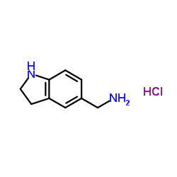 吲哚啉-5-基甲胺二盐酸盐结构式