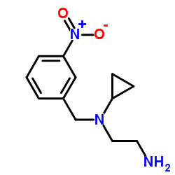 N-Cyclopropyl-N-(3-nitrobenzyl)-1,2-ethanediamine Structure