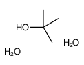 2-methylpropan-2-ol,dihydrate Structure