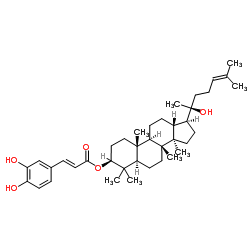 Dammarenediol II 3-O-caffeate structure