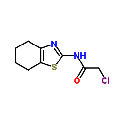 2-CHLORO-N-(4,5,6,7-TETRAHYDRO-BENZOTHIAZOL-2-YL)-ACETAMIDE结构式