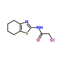 2-CHLORO-N-(4,5,6,7-TETRAHYDRO-BENZOTHIAZOL-2-YL)-ACETAMIDE picture