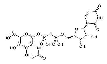 uridine diphosphate n-acetyl-d-glucosamine, [glucosamine-14c(u)] Structure