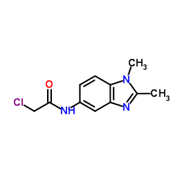 2-CHLORO-N-(1,2-DIMETHYL-1H-BENZOIMIDAZOL-5-YL)-ACETAMIDE结构式