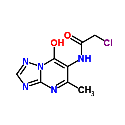 2-CHLORO-N-(7-HYDROXY-5-METHYL-[1,2,4]TRIAZOLO-[1,5-A]PYRIMIDIN-6-YL)-ACETAMIDE结构式