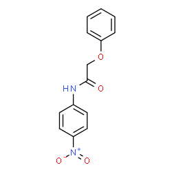 N-{4-nitrophenyl}-2-phenoxyacetamide Structure
