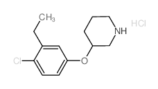 3-(4-Chloro-3-ethylphenoxy)piperidine hydrochloride Structure