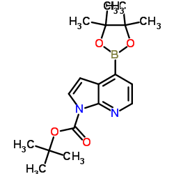 4-(4, 4, 5, 5-四甲基-1, 3, 2-二氧硼杂环戊烷-2-基)-1H-吡咯并[2, 3-b]吡啶-1-羧酸叔丁酯结构式