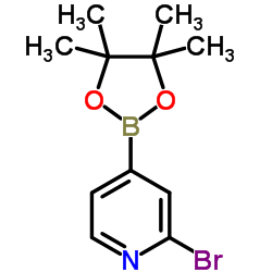 2-BROMO-4-(4,4,5,5-TETRAMETHYL-1,3,2-DIOXABOROLAN-2-YL)PYRIDINE structure