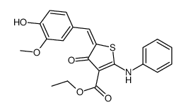 ethyl (5Z)-2-anilino-5-[(4-hydroxy-3-methoxyphenyl)methylidene]-4-oxothiophene-3-carboxylate Structure