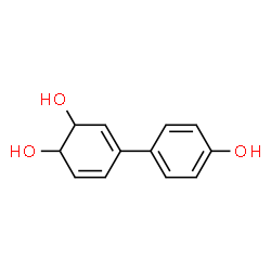 3,5-Cyclohexadiene-1,2-diol, 4-(4-hydroxyphenyl)- (9CI)结构式