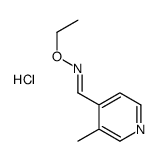 (E)-N-ethoxy-1-(3-methylpyridin-4-yl)methanimine,hydrochloride Structure
