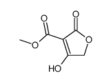 methyl 4-hydroxy-2-oxo-2,5-dihydrofuran-3-carboxylate Structure