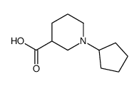 1-CYCLOPENTYLPIPERIDINE-3-CARBOXYLIC ACIDHYDROCHLORIDE Structure