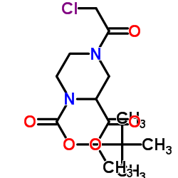 2-Methyl 1-(2-methyl-2-propanyl) 4-(chloroacetyl)-1,2-piperazinedicarboxylate结构式
