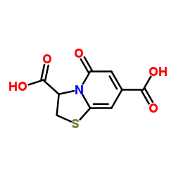 噻唑吡啶二酸图片