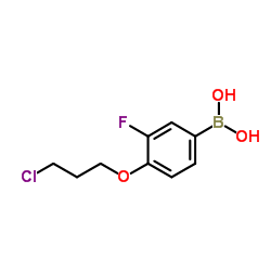 (4-(3-chloropropoxy)-3-fluorophenyl)boronic acid Structure