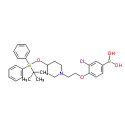 (4-(2-(4-((tert-butyldiphenylsilyl)oxy)piperidin-1-yl)ethoxy)-3-chlorophenyl)boronic acid structure