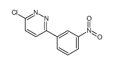 Pyridazine, 3-chloro-6-(3-nitrophenyl)- picture