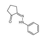 (2Z)-2-(phenylhydrazinylidene)cyclopentan-1-one Structure