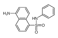 5-amino-N-phenylnaphthalene-1-sulfonamide结构式
