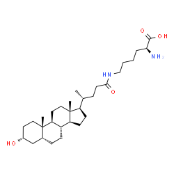 N-epsilon-lithocholyllysine Structure