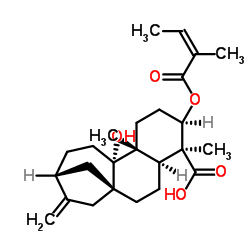 3α-当归酰氧基-9β-羟基等效贝壳杉-16-烯酸结构式