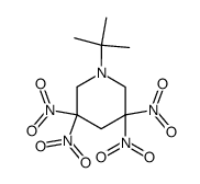 1-tert-butyl-3,3,5,5-tetranitropiperidine Structure