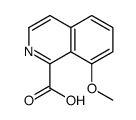 8-methoxyisoquinoline-1-carboxylic acid结构式