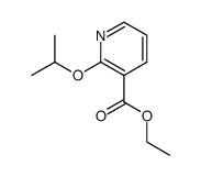 ethyl 2-isopropoxynicotinate结构式