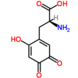 6-羟基多巴醌结构式