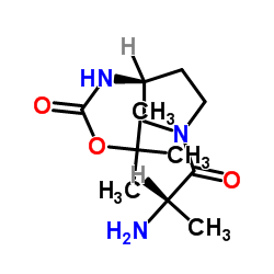 2-Methyl-2-propanyl [(3S)-1-alanyl-3-pyrrolidinyl]carbamate Structure