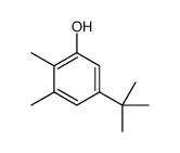 5-tert-butyl-2,3-dimethylphenol结构式