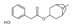 8-Methyl-8-azabicyclo[3.2.1]oct-3-yl phenylacetate hydrochloride (1:1)结构式