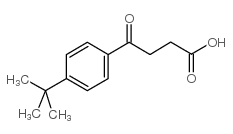 4-(4-TERT-BUTYLPHENYL)-4-OXOBUTYRICACID structure