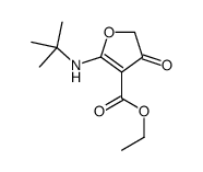 ethyl 2-(tert-butylamino)-4-oxofuran-3-carboxylate结构式
